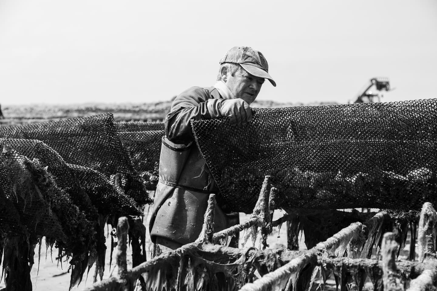 Huîtres Quéré – Coquillages du Sillon, une huître authentique