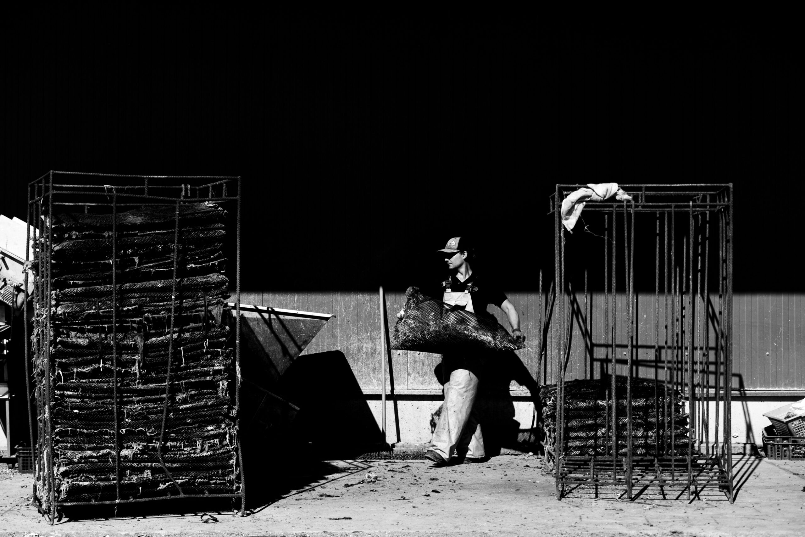 Présentation de Huîtres Quéré, producteurs au Sillon de Talbert