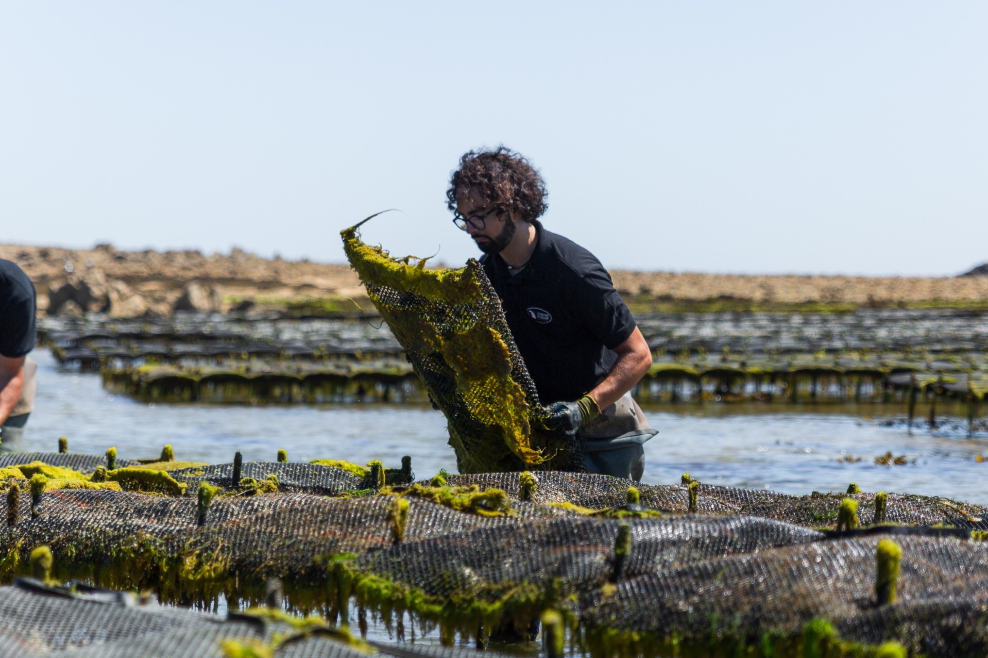 576A8526 - Copie - Copie