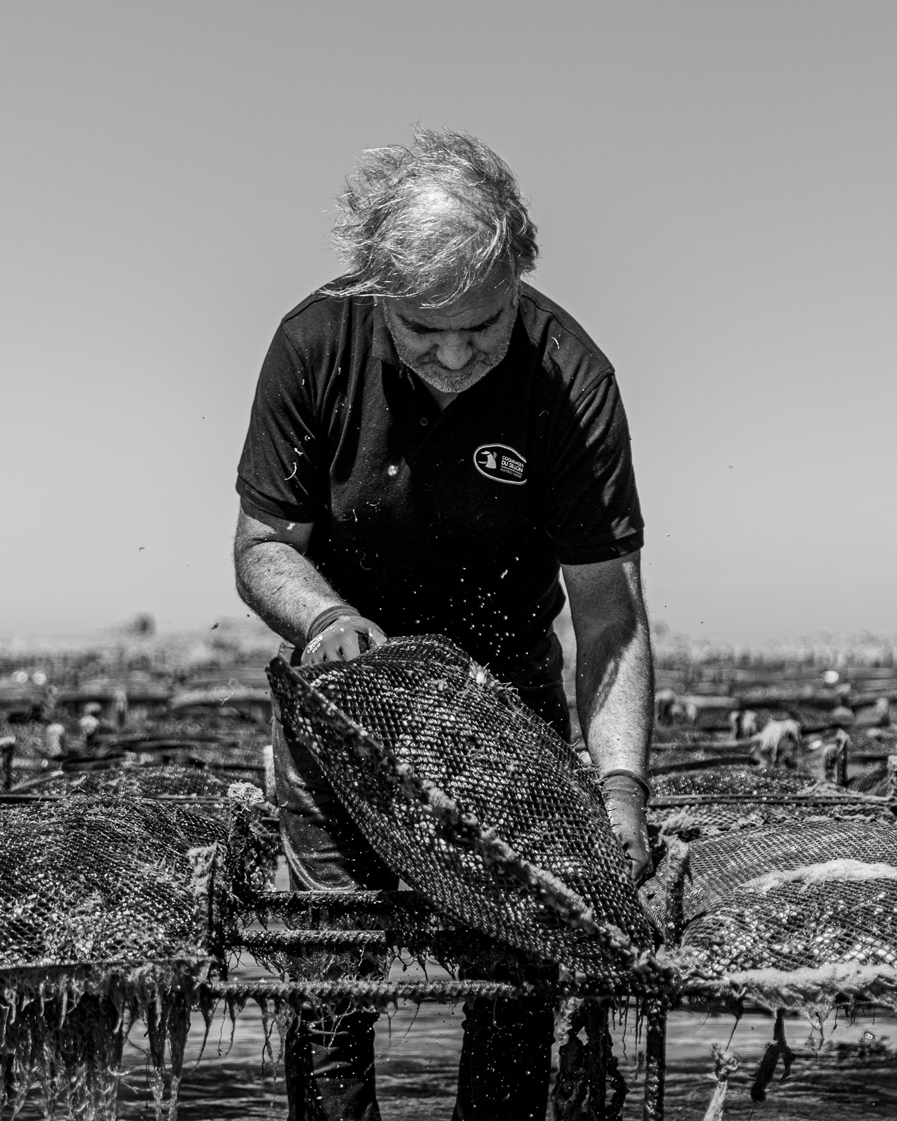 Huîtres Quéré – Coquillages du Sillon, une huître authentique