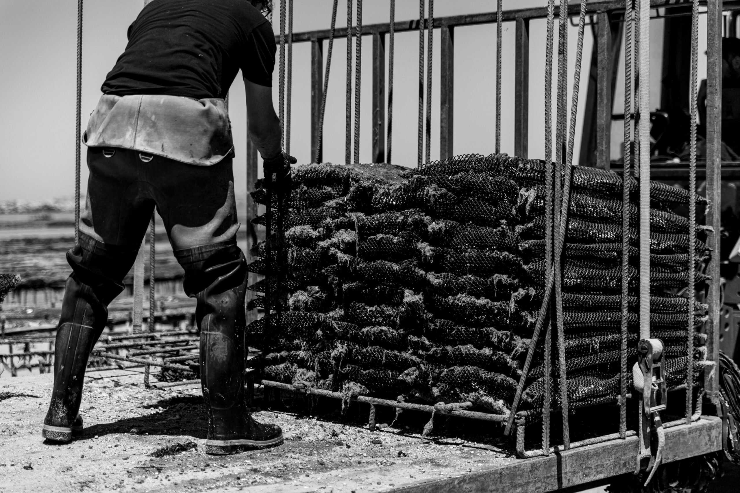 Huîtres Quéré – Coquillages du Sillon, une huître authentique