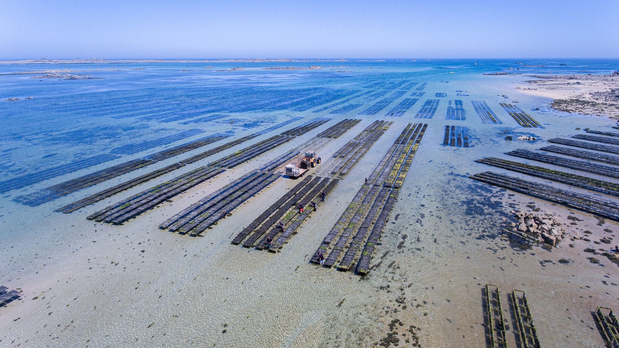 Présentation de Huîtres Quéré, producteurs au Sillon de Talbert