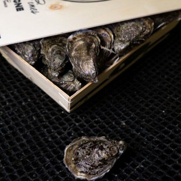 Huître Fine N°4 - Essence Marine