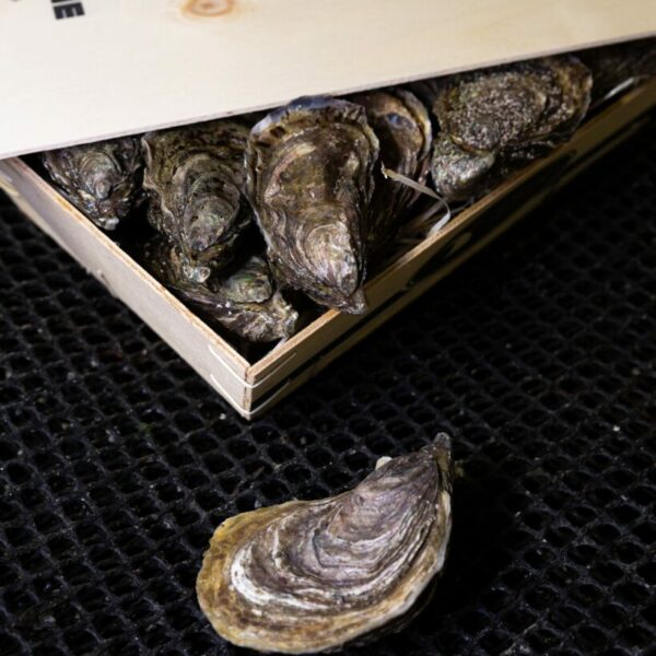 Huître Spéciale N°2 - LA CAPRICIEUSE